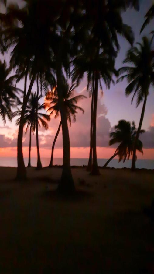 Mystic Maldives Mathiveri Retreat Εξωτερικό φωτογραφία